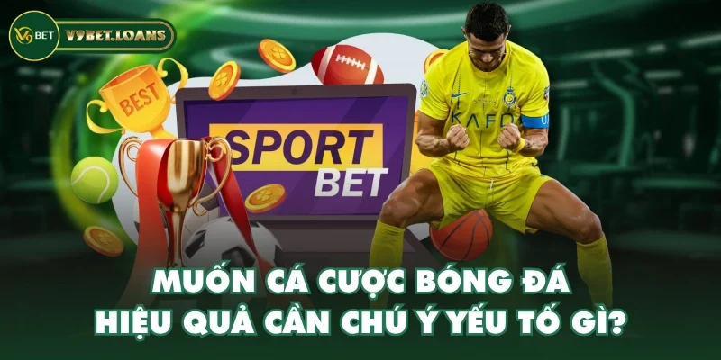 Muốn cá cược bóng đá hiệu quả cần chú ý yếu tố gì? Muốn cá cược bóng đá hiệu quả cần chú ý yếu tố gì?